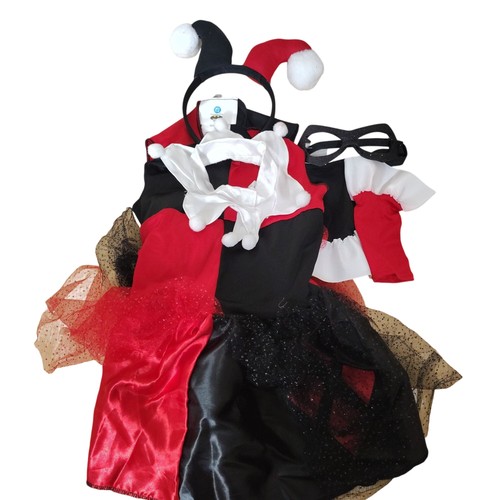 Costume halloween comics - dc,